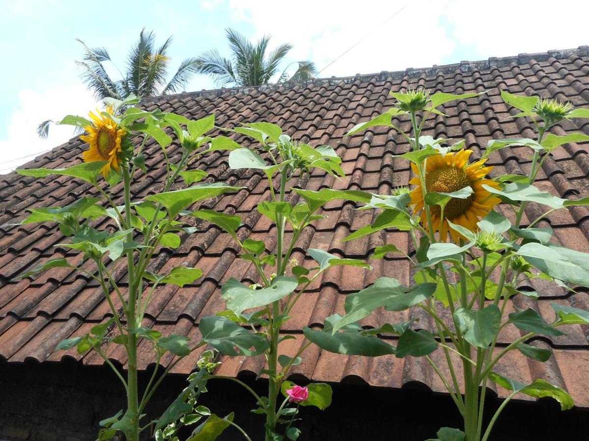 Ming Home Stay Sidemen Sidemen  Exterior foto
