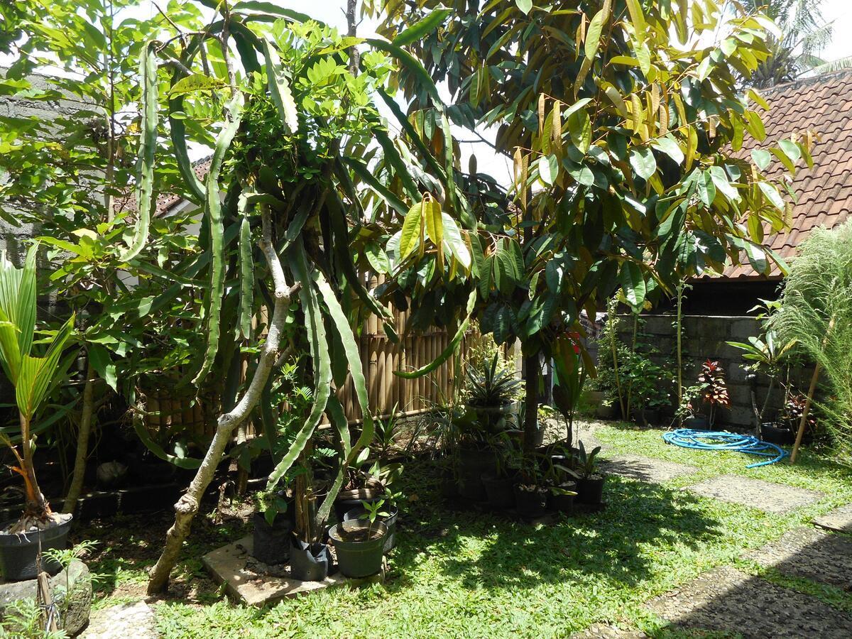Ming Home Stay Sidemen Sidemen  Exterior foto